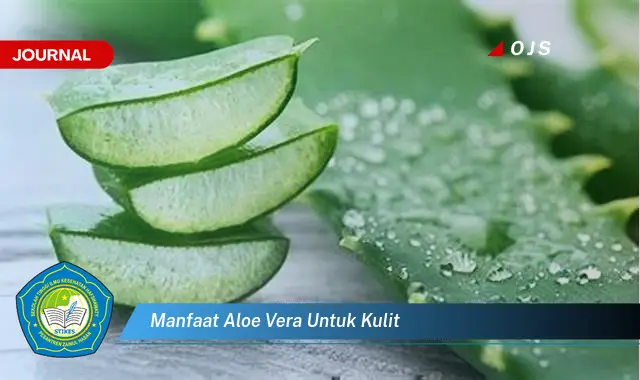 manfaat aloe vera untuk kulit