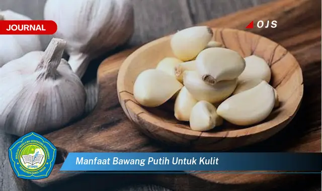 manfaat bawang putih untuk kulit manfaat bawang putih untuk kulit