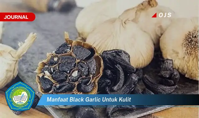 manfaat black garlic untuk kulit manfaat black garlic untuk kulit