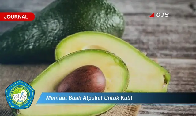 manfaat buah alpukat untuk kulit