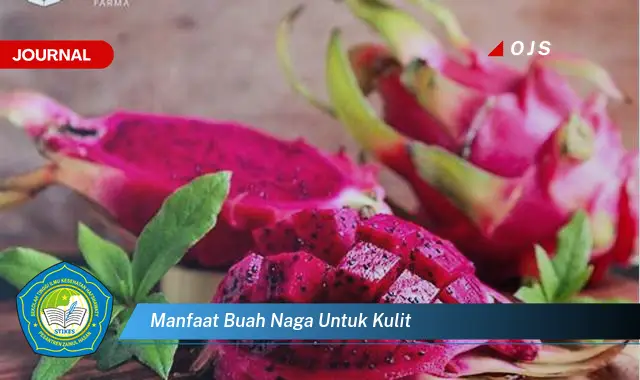 manfaat buah naga untuk kulit