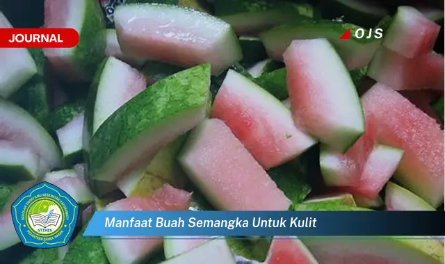 manfaat buah semangka untuk kulit