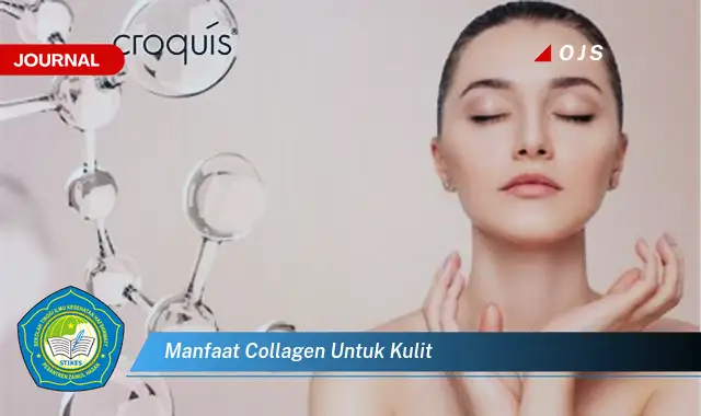 manfaat collagen untuk kulit