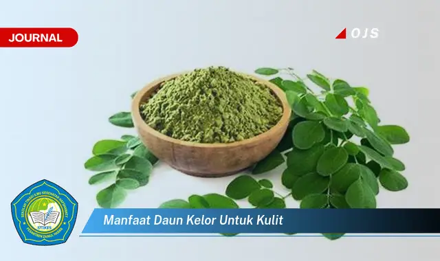 manfaat daun kelor untuk kulit