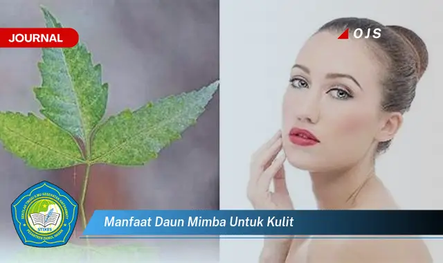 manfaat daun mimba untuk kulit