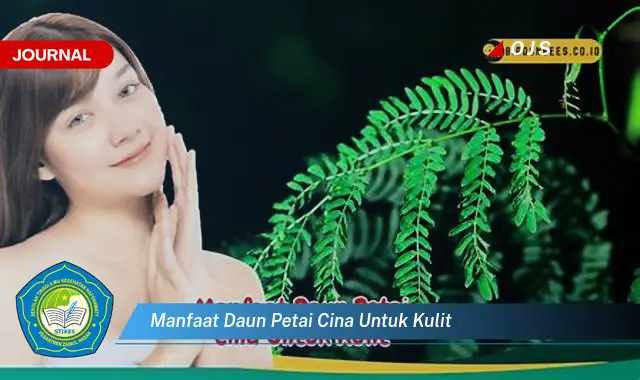 manfaat daun petai cina untuk kulit