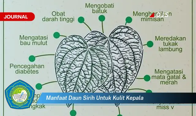 manfaat daun sirih untuk kulit kepala