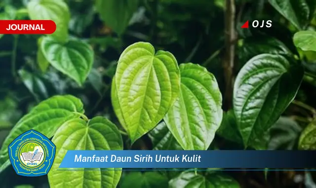 manfaat daun sirih untuk kulit