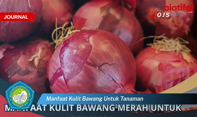 manfaat kulit bawang untuk tanaman