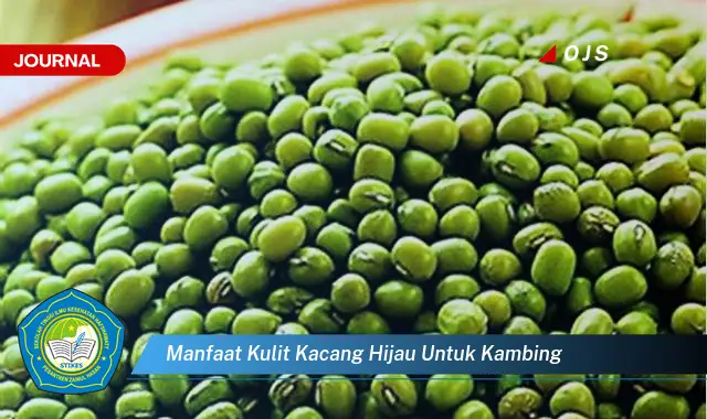 manfaat kulit kacang hijau untuk kambing