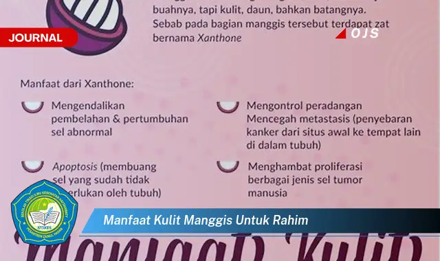 manfaat kulit manggis untuk rahim