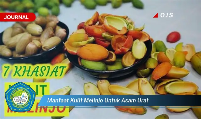 manfaat kulit melinjo untuk asam urat