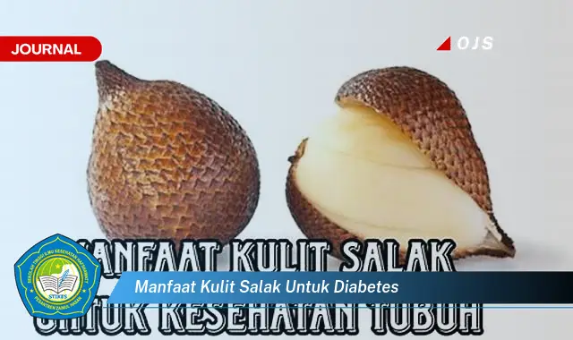 manfaat kulit salak untuk diabetes