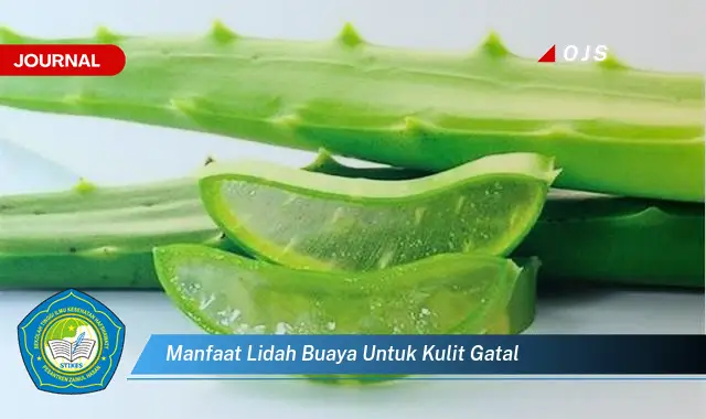 manfaat lidah buaya untuk kulit gatal