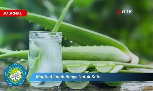 manfaat lidah buaya untuk kulit