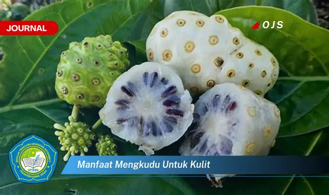 manfaat mengkudu untuk kulit