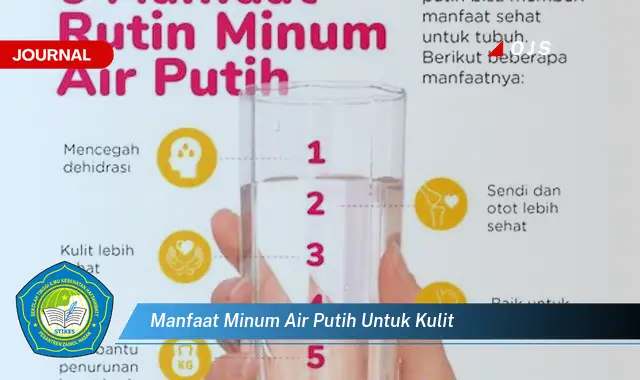 manfaat minum air putih untuk kulit manfaat minum air putih untuk kulit
