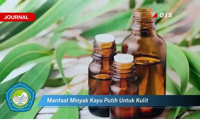 manfaat minyak kayu putih untuk kulit