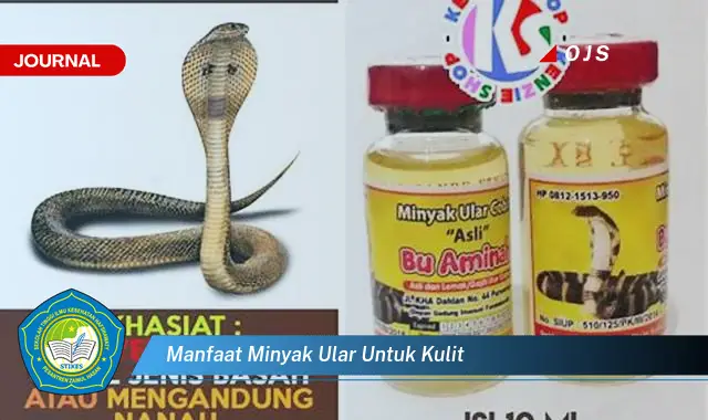 manfaat minyak ular untuk kulit manfaat minyak ular untuk kulit