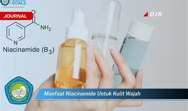 manfaat niacinamide untuk kulit wajah manfaat niacinamide untuk kulit wajah