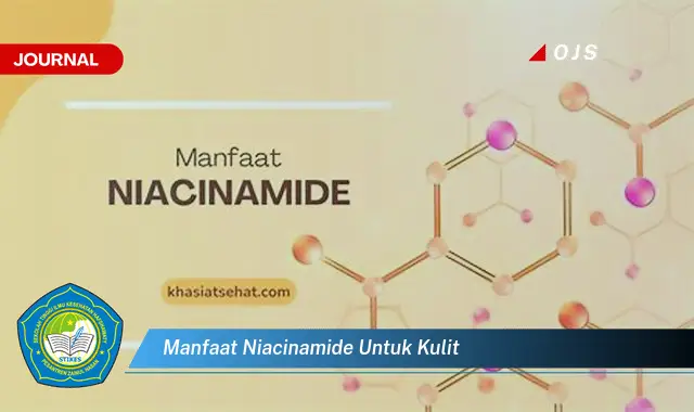 manfaat niacinamide untuk kulit