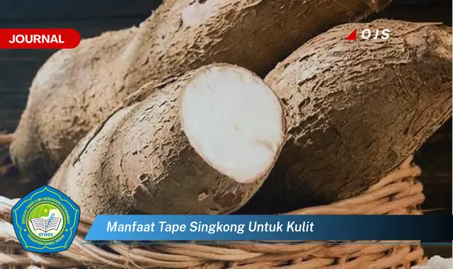 manfaat tape singkong untuk kulit