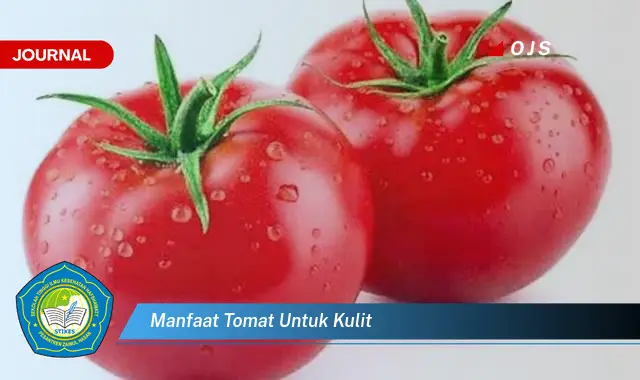 manfaat tomat untuk kulit