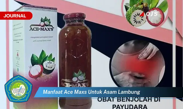 manfaat ace maxs untuk asam lambung