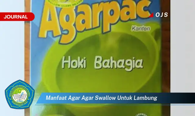 manfaat agar agar swallow untuk lambung