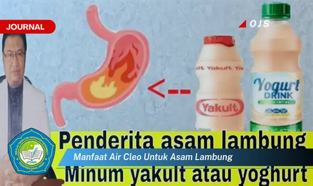 manfaat air cleo untuk asam lambung manfaat air cleo untuk asam lambung