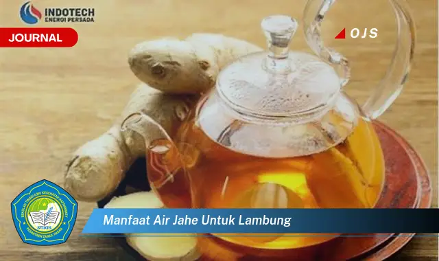 manfaat air jahe untuk lambung