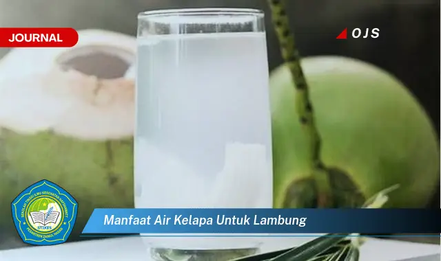manfaat air kelapa untuk lambung manfaat air kelapa untuk lambung