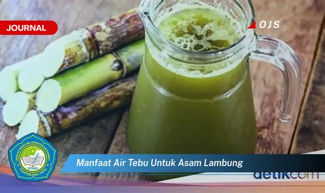 manfaat air tebu untuk asam lambung manfaat air tebu untuk asam lambung