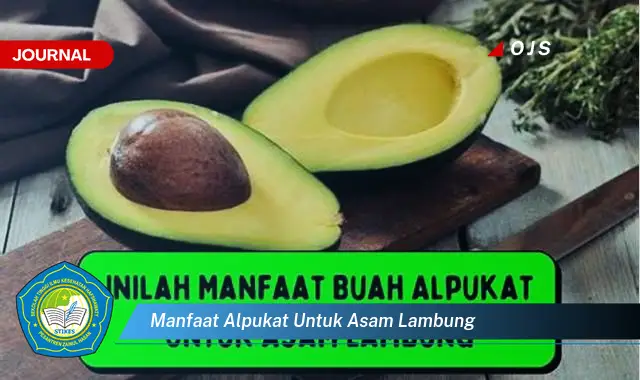 manfaat alpukat untuk asam lambung