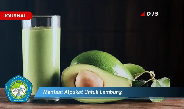 manfaat alpukat untuk lambung