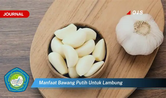 manfaat bawang putih untuk lambung manfaat bawang putih untuk lambung