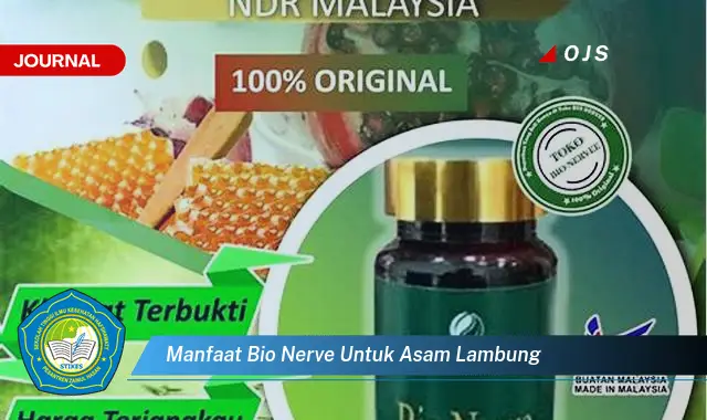 manfaat bio nerve untuk asam lambung