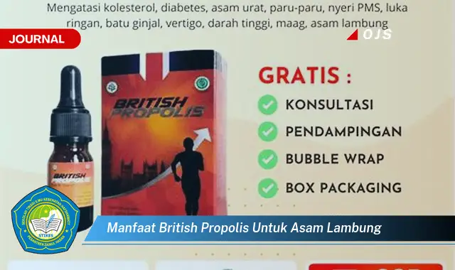 manfaat british propolis untuk asam lambung