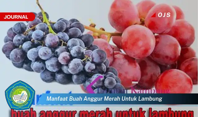 manfaat buah anggur merah untuk lambung