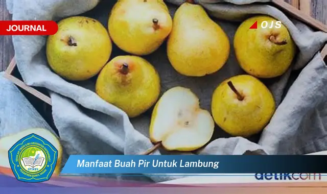 manfaat buah pir untuk lambung