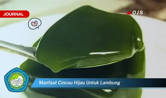 manfaat cincau hijau untuk lambung