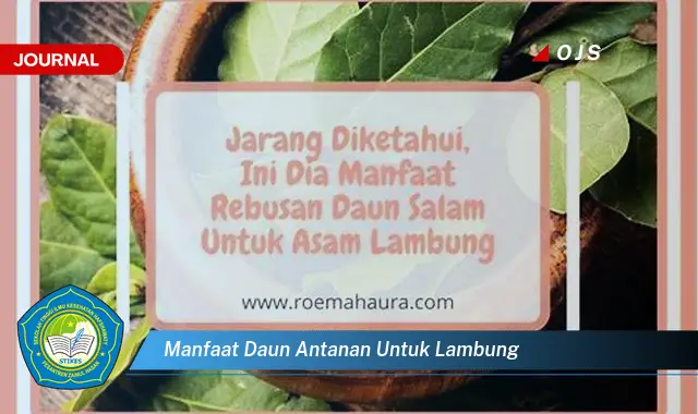 Intip 6 Manfaat Daun Antanan untuk Lambung yang Wajib Kamu Tahu - E-Journal