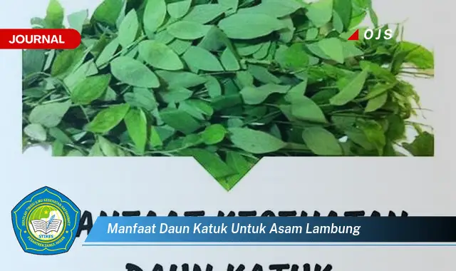 manfaat daun katuk untuk asam lambung manfaat daun katuk untuk asam lambung
