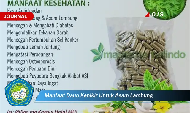 manfaat daun kenikir untuk asam lambung