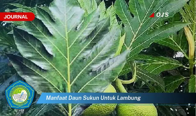 manfaat daun sukun untuk lambung manfaat daun sukun untuk lambung