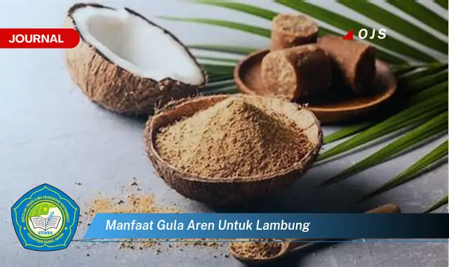 manfaat gula aren untuk lambung