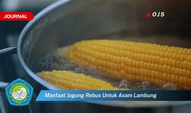 manfaat jagung rebus untuk asam lambung