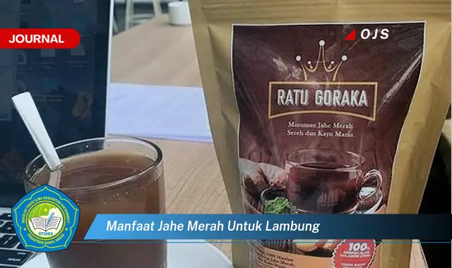 manfaat jahe merah untuk lambung