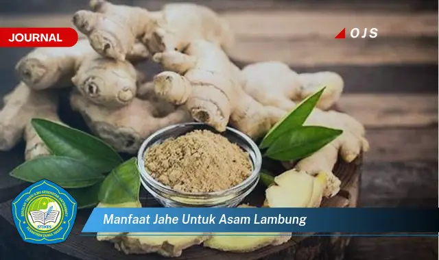 manfaat jahe untuk asam lambung