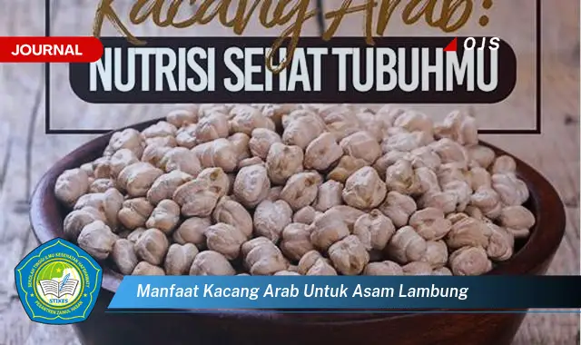 manfaat kacang arab untuk asam lambung